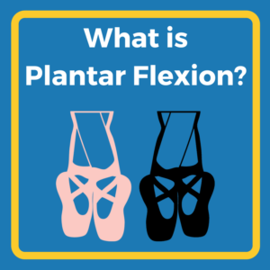 Qué es la Flexión plantar